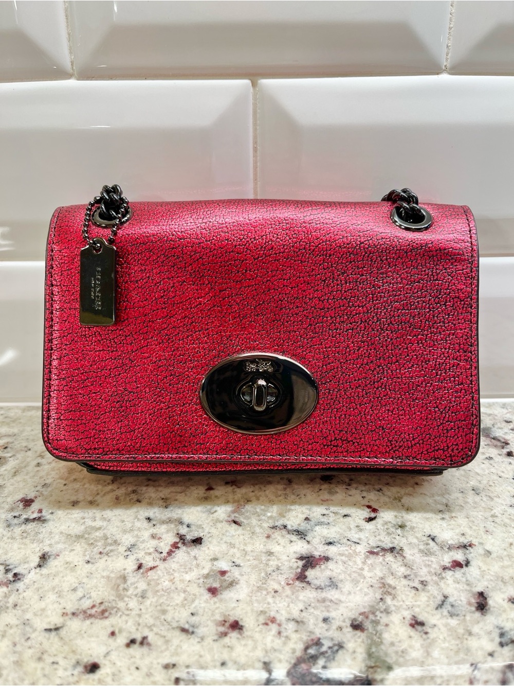 Coach Mini Chain Crossbody Bag NWT